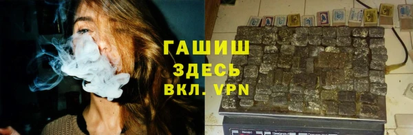 индика Волоколамск