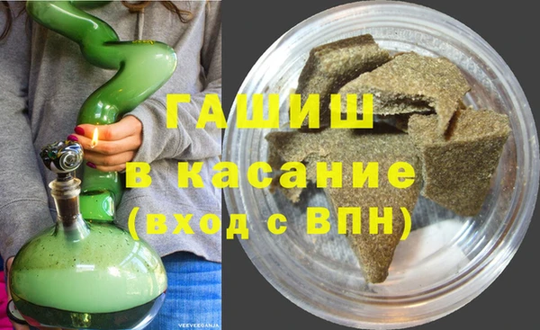 индика Волоколамск