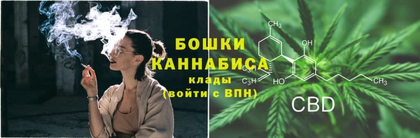 индика Волоколамск