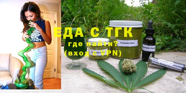 индика Волоколамск