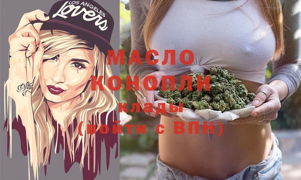 индика Волоколамск