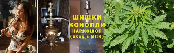 индика Волоколамск
