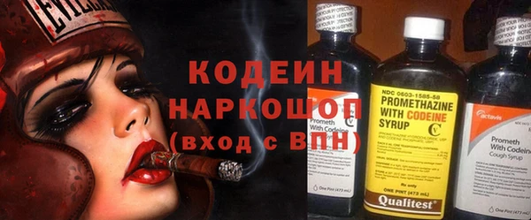 индика Волоколамск