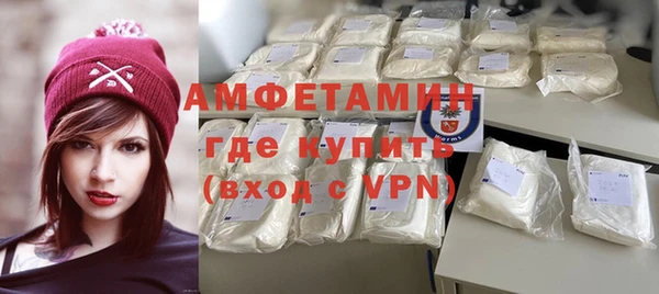 индика Волоколамск