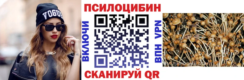 Псилоцибиновые грибы MAGIC MUSHROOMS  наркотики  Мытищи 